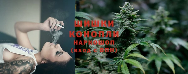 spice Дмитриев