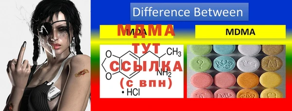 spice Дмитриев