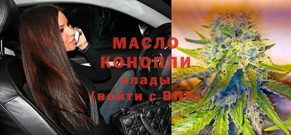 spice Дмитриев