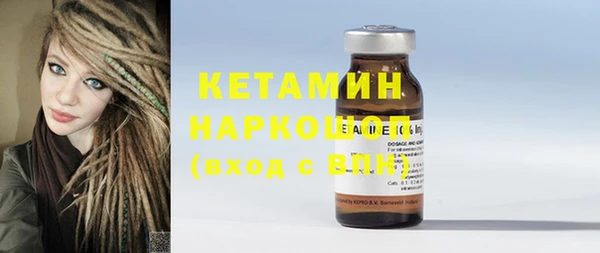spice Дмитриев
