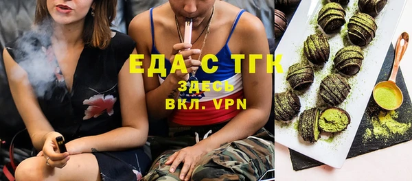 spice Дмитриев