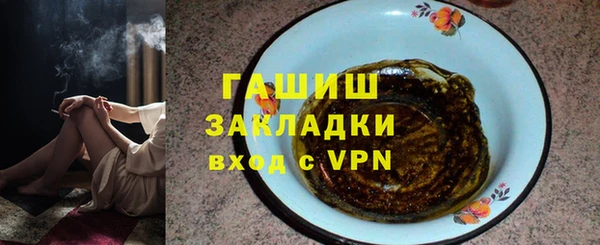 spice Дмитриев