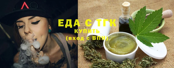 spice Дмитриев
