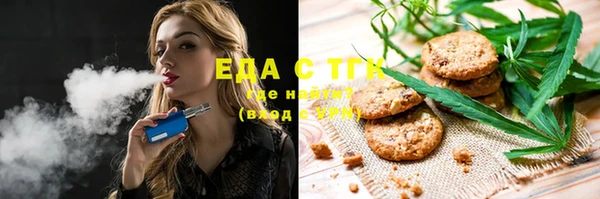 spice Дмитриев
